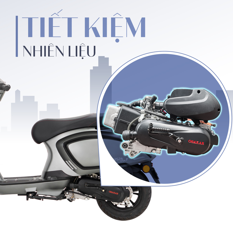 Những mẫu xe xăng sở hữu động cơ độc quyền, tiêu hao ít nhiên liệu sẽ là bạn đồng hành hoàn hảo để thỏa sức vi vu đường dài
