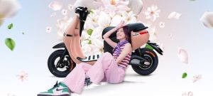 Xe Gogo giá bao nhiêu tiền