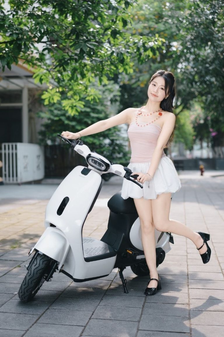 xe bàn đạp điện osakar vc sunoo