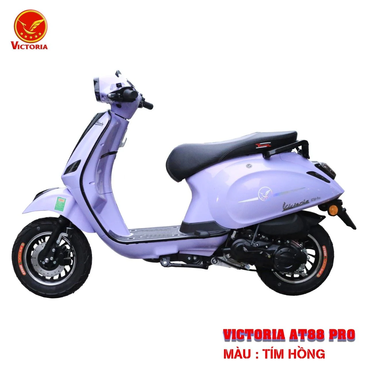 Victoria V88 Pro lung linh dưới nắng với nước sơn Tím Hồng bắt mắt