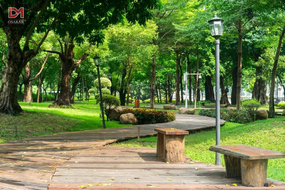 Tăng cường trồng cây xanh trong nhà, khuôn viên