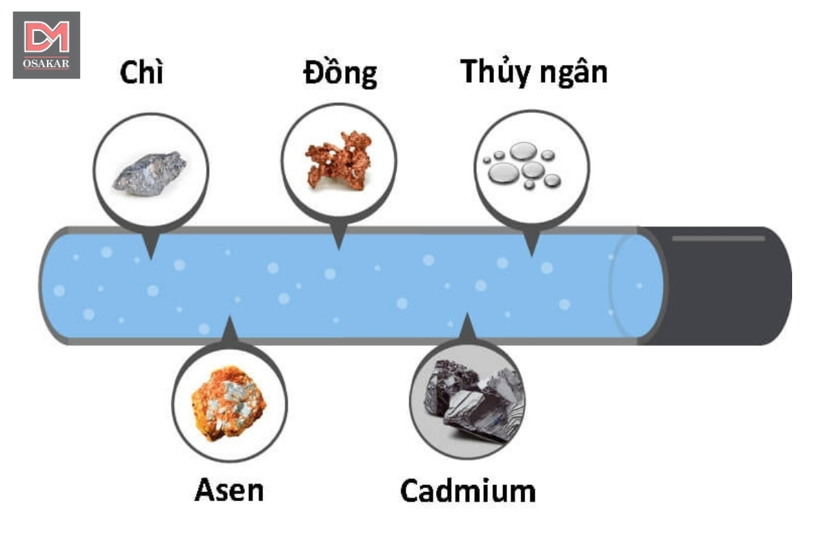 Kim loại nặng (chì, thủy ngân, cadimi)