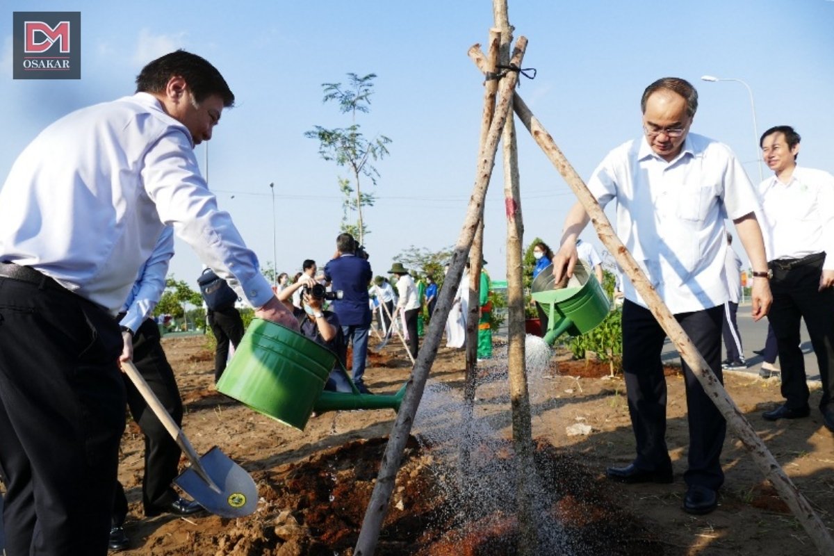 Trồng 10 triệu cây xanh giai đoạn 2020 - 2025