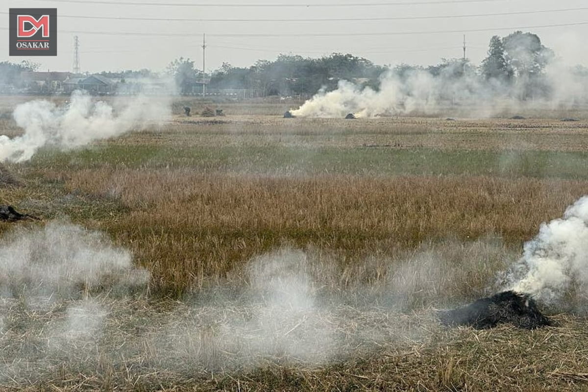 Hình ảnh ô nhiễm không khí tại vùng nông thôn 1