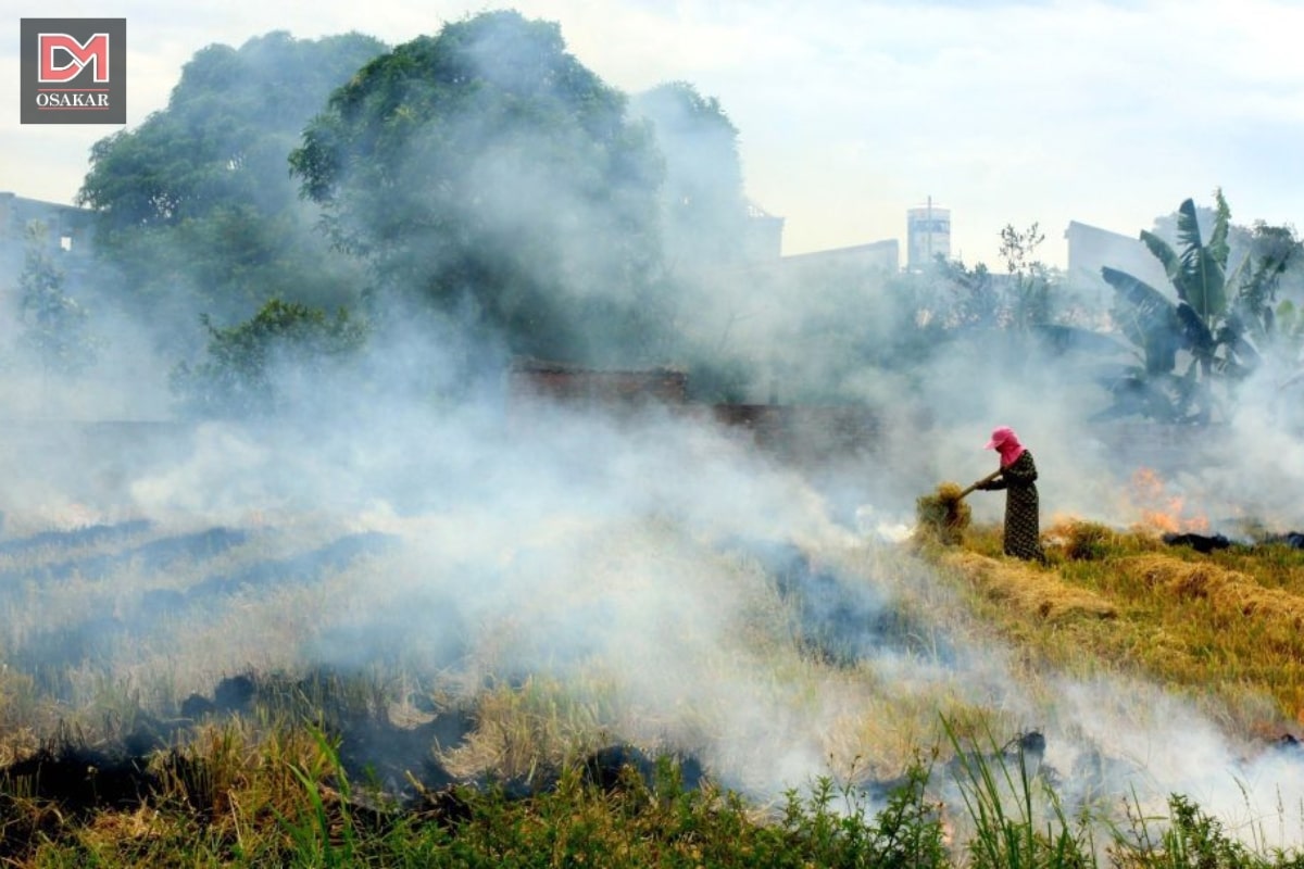 Hình ảnh ô nhiễm không khí tại vùng nông thôn 5