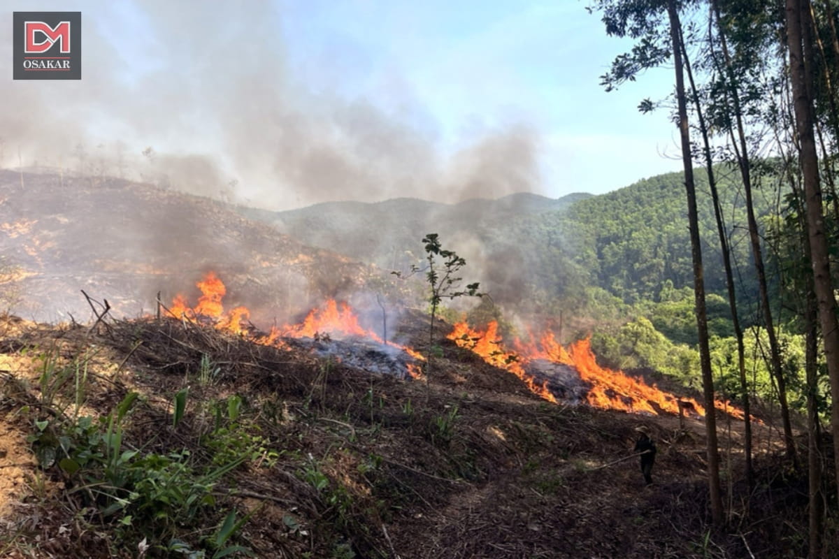 Hình ảnh ô nhiễm không khí tại vùng nông thôn 10