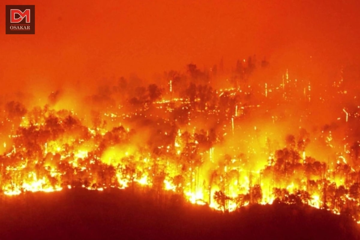 Hình ảnh ô nhiễm không khí trên thế giới 6