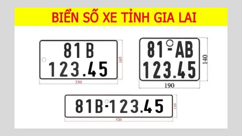 Biển số xe tỉnh Gia Lai bao gồm các mã số 81 và 77 sau khi sáp nhập với Bình Định