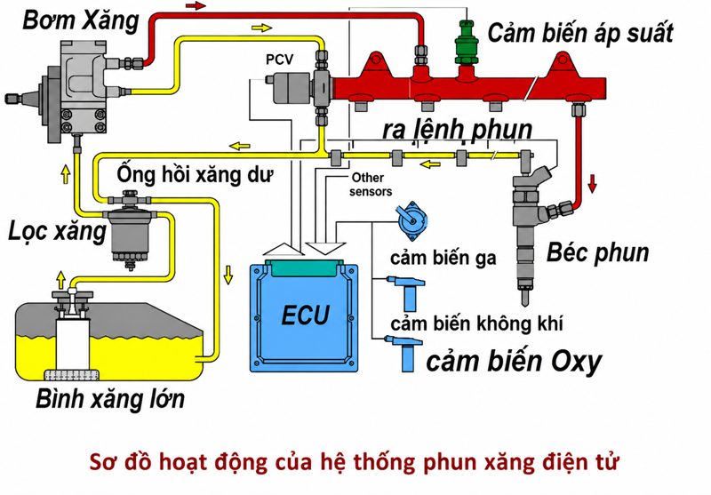 Sơ đồ hệ thống phun xăng điện tử cho thấy các cảm biến liên tục thu thập dữ liệu để ECU xử lý