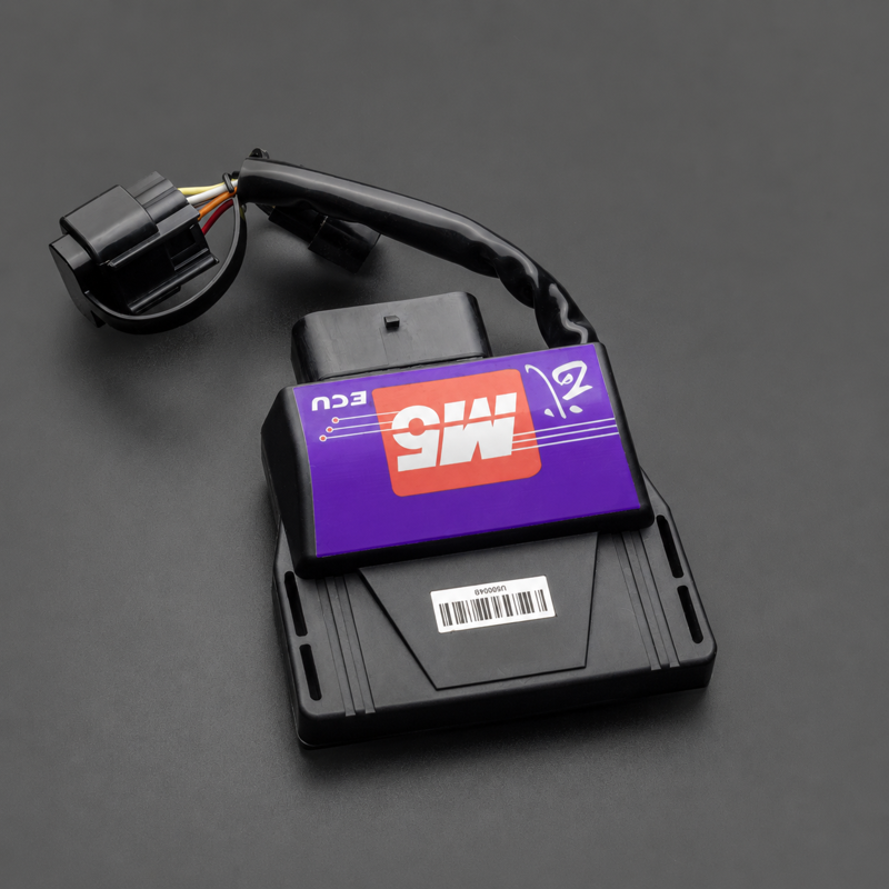 Bộ điều khiển ECU là trung tâm xử lý thông tin và ra quyết định cho toàn bộ hệ thống phun xăng