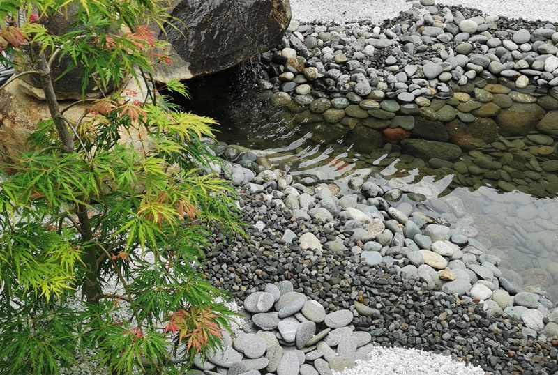 Màu vàng và nâu thuộc hành Thổ khắc Thủy nên người tuổi Quý Tỵ cần tránh khi chọn xe