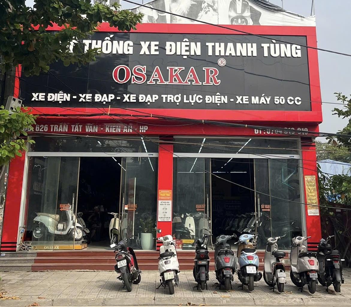 Hệ thống xe điện Thanh Tùng - Hải Phòng.
